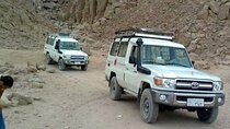 VIP jeep safari & camel riding hurghada 