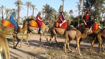 1-Hour Camel Ride in La Palmeraie Marrakech with Hotel Pick up
