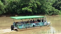 Wildlife Boat Trip Caño Negro 