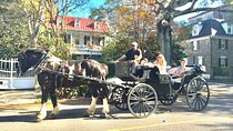 Private Historic Horse & Carriage Tour of Charleston