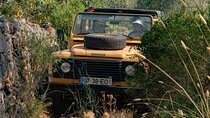 Full Day Private Safari in Algarve