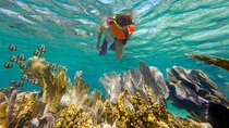 Puerto Morelos Reef Snorkeling & Beachside Lunch