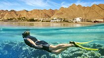 Relaxing Day Tour To Red Sea At Ain El Sokhna From Cairo