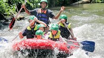Private White Water Rafting Ubud with Bali Swing Including Hotel pick up