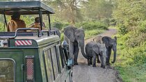 3 Days Serengeti Park & Ngorongoro Crater Adventure Safari