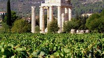 Ancient Nemea Private Full-Day Tour from Athens with Wine Tasting