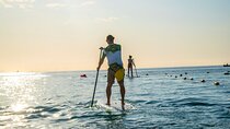 Early Morning Médano Beach Paddle Boarding Tour