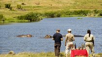 2-Days Private Midrange Safari; Tarangire & Ngorongoro Crater
