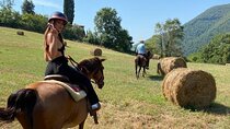 Horseback ride and Poolside Day chillout with Tuscan Lunch