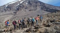 2-Day Short Kilimanjaro Trek