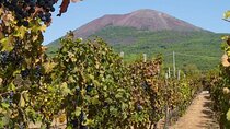 Private Food and Wine Tour by Mount Vesuvius