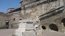 Pompeii, Oplonti and Herculaneum History Tour