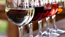 Private Wine Tasting Tour in Amman and Boulevard Walking Tour