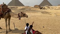 Private tour: Giza Pyramids,Sphinx,Egyptian Museum &Bazaar with Camel Ride&Lunch