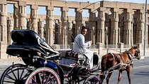Horse Carriage City Tour in Luxor city with meal and soft drink
