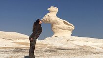 Overnight Tour To Bahariya Oasis Visit Black And White Desert From Cairo