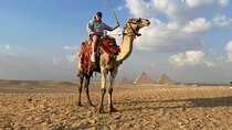 Private Giza Pyramids Tour with camel Ride around the Great Pyramid 