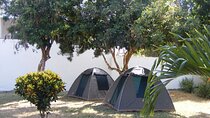 7-Day Private Camping Safari Tour in Kenya with Meals