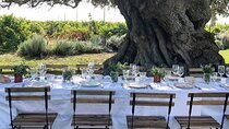 Algarve wine tour and farmer's lunch at wine estate