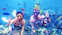 Snorkeling Excursion in Ras Mohammed and White Island 