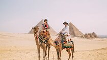 Cairo Tours to Pyramids of Giza Tour & Felucca on the Nile