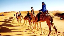 Shared Marrakech Desert Tours 
