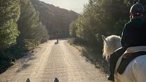 Malaga - guided horseback riding
