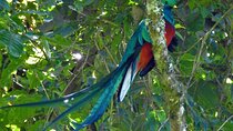 Quetzal tour on lake atitlan 