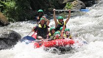 Full-Day Private White Water Rafting Ayung River and Ubud City Tour