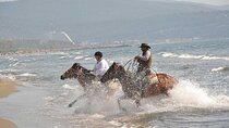 Horseback Riding From Kusadasi Port For Cruise Guests