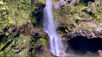 Epic Waterfall Adventure, the Best of Maui