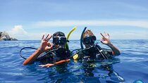 Small-Group Introductory Scuba Diving in Pula