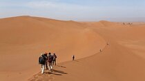 Walking Trip Sunset Into Erg Chebbi Dunes, With Local Guide.