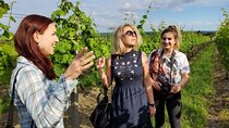 Day trip from Bratislava: Winery Tour with Wine Tasting in the Countryside