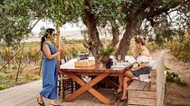 Heraklion Private Half-Day Gastronomy Diaries Experience in Lyrarakis Winery