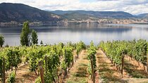 Naramata Private Wine Tour - Full Day