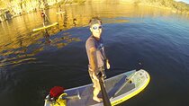 Awesome Standup Paddleboard Adventure in a Sonoran Desert Oasis