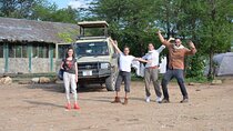 3 Days Private Budget Lodge Safari: Serengeti & Ngorongoro Crater