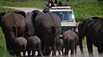 5 Days Private Budget Lodge Safari to Serengeti & Ngorongoro