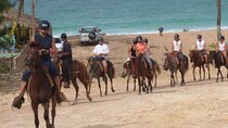 Amazing 3-Hour Horseback Riding at Puerto Plata with Pickup