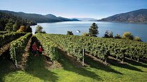 Kelowna South Slopes Wine Tour - 5 wineries on the tour