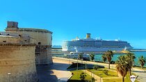 Civitavecchia Cruise Ship to Fiumicino Airport Private Transfer