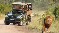 Kruger National Park Afternoon Private safari