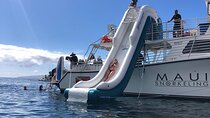 Molokini Crater Snorkeling Adventure