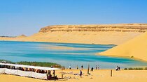 Private Day Tour to Al Faiyum Oasis and Wadi al Rayan from Cairo