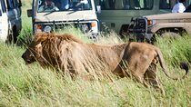 4 Days Tarangire ,Serengeti &Ngorongoro crater group Tour 