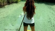 Nature Stand Up Paddle Boarding Experience in Miami 