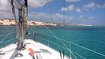 3-Hour Small-Group Sailing Tour around the Lobos Island