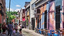Half Day Walking Tour Discovering Palermo Soho & Graffiti in Buenos Aires