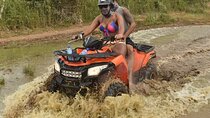 River Cave and Macao Beach Half-Day Quad Bike Adventure 